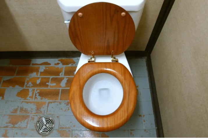 toilet